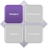 biological